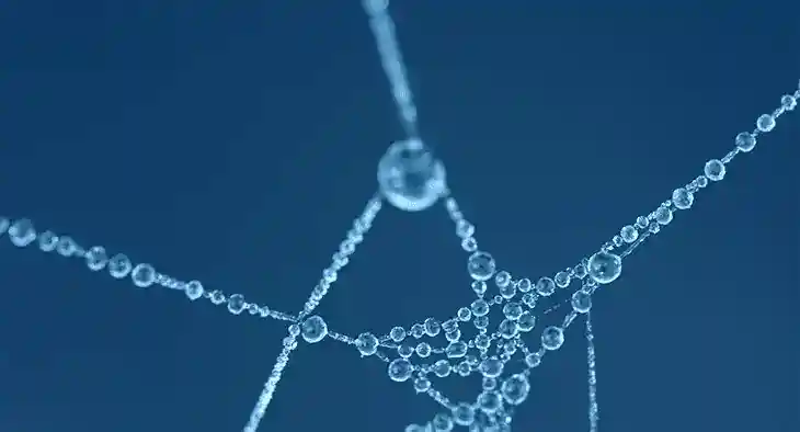 What is a data fabric